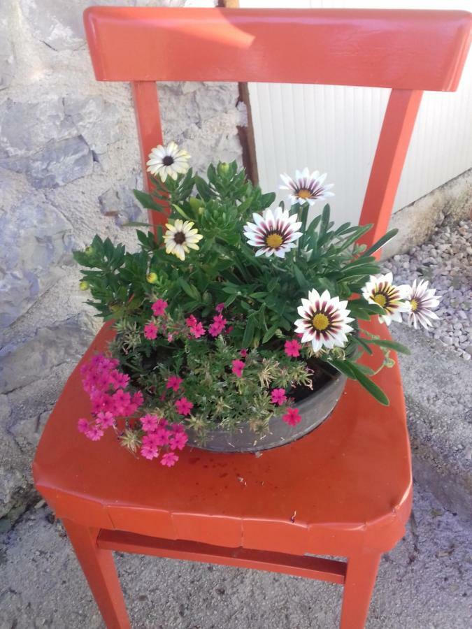 Apartment Rojal Mali Lošinj Esterno foto